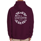 Rat Race Santorini Circuit Organic Unisex Hoodie - Rat Race Store