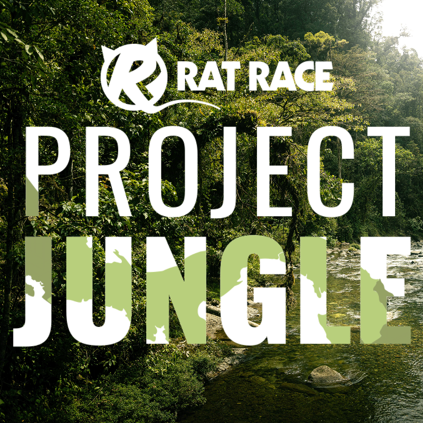 Project Jungle - Your very own piece of jungle - 3x3m metasquare - Rat Race Store