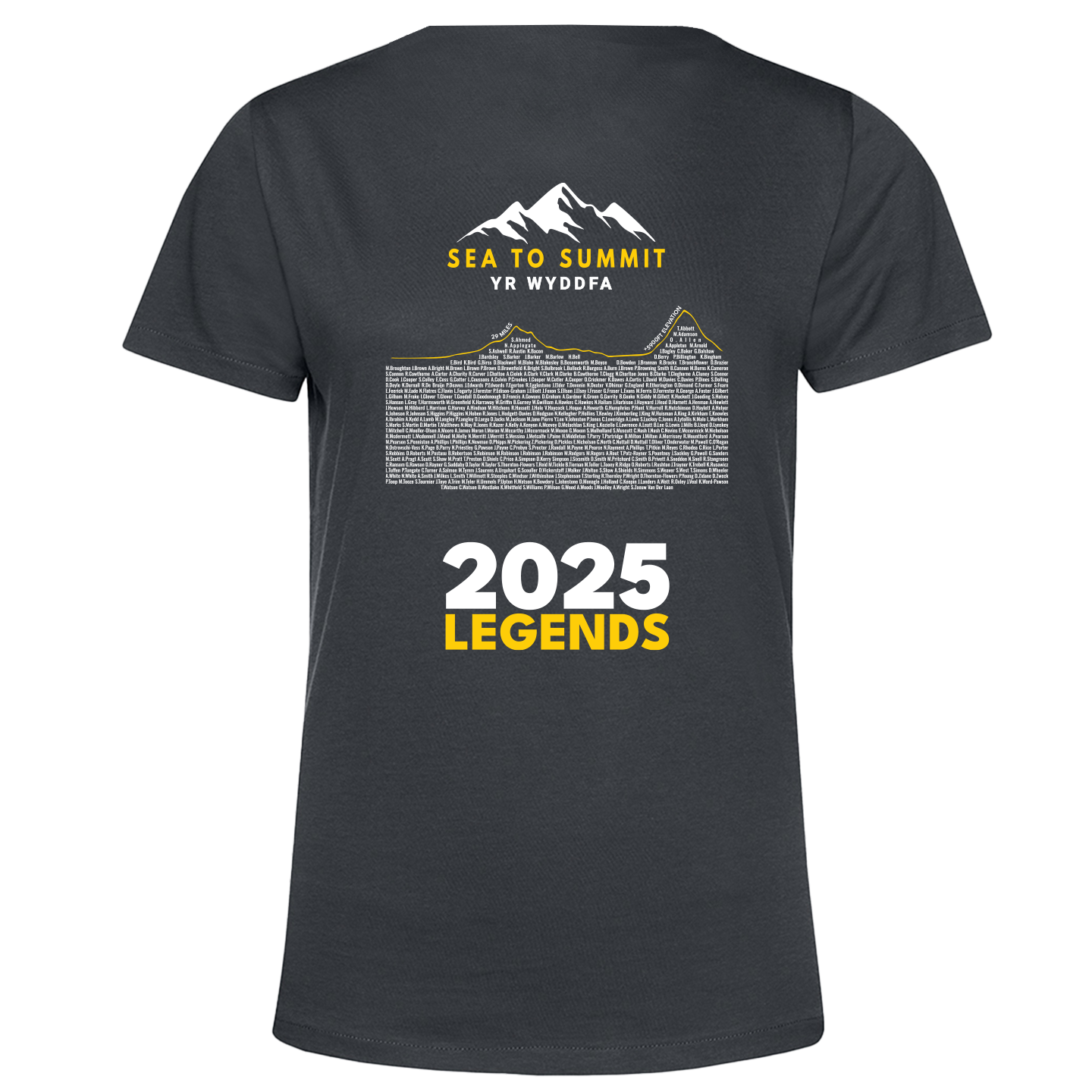 Sea to Summit Yr Wyddfa 2025 Legends Women's T-shirt - Grey - PRE ORDER